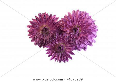 Three flower