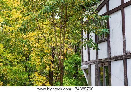 Autumn Exterior