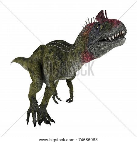 Dinosaur Cryolophosaurus