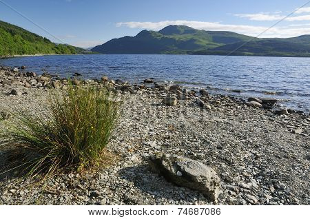Loch Lomond & Ben Lomond