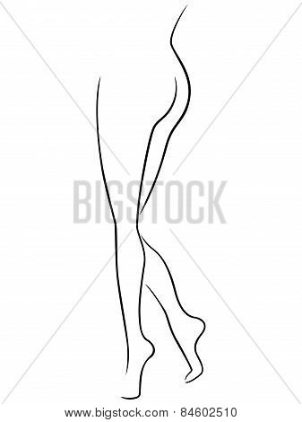 Lower Part Of Graceful Female Body
