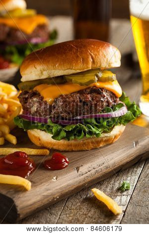 Grass Fed Bison Hamburger