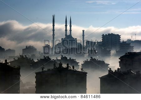 fog