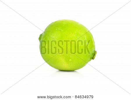 A Whole Fresh Lime Isolated On A White Background