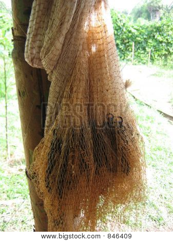 Fishing Net
