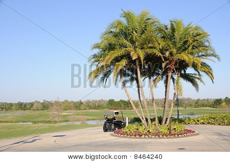 Golf koszyka palmami i na Florydzie Hotel Resort