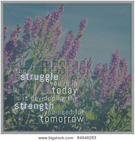 Quote - the struggle you're in today is developing the strength you need for tomorrow 