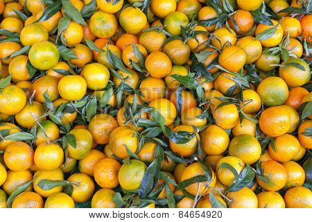 tangerins, market in Forcalquier, Provence, France