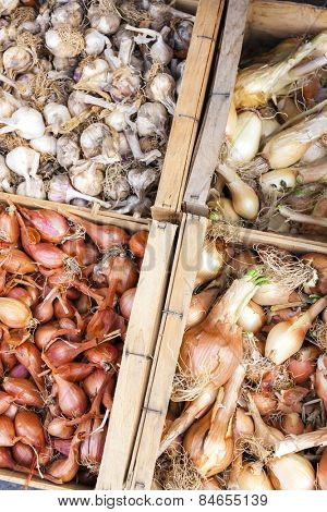 onions and garlics, market in Forcalquier, Provence, France