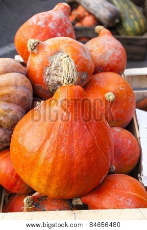 pumpkins, market in Forcalquier, Provence, France