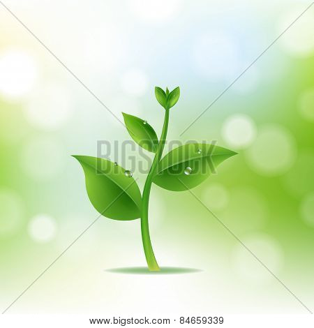 Nature Background With Plant And Drop Water With Gradient Mesh, Vector Illustration