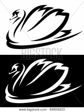 Swan Design
