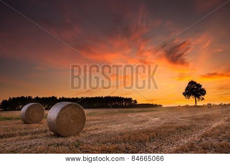 Straw Bales In Summer