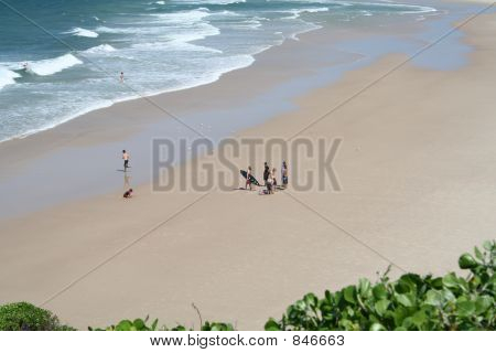 Tribe of Surfers 