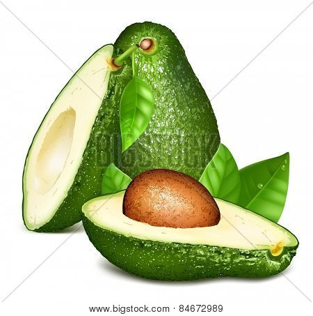 Avocados with leaves. Vector illustration