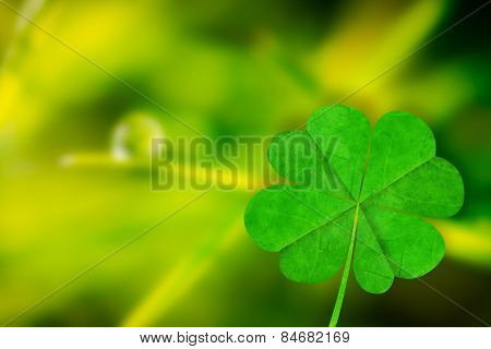 Shamrock against dew drop on blade of grass