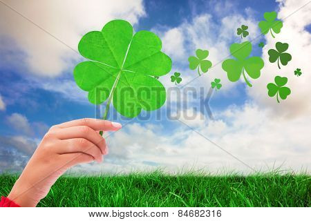 Shamrock against green grass under blue sky
