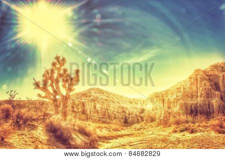 desert