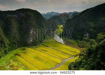 Rice field and river in TamCoc, NinhBinh, Vietnam