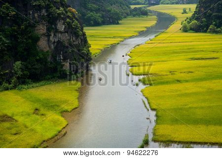 Rice field and river in TamCoc, NinhBinh, Vietnam