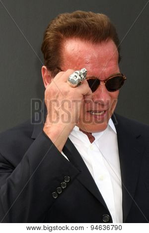 LOS ANGELES - JUN 28:  Arnold Schwarzenegger at the 