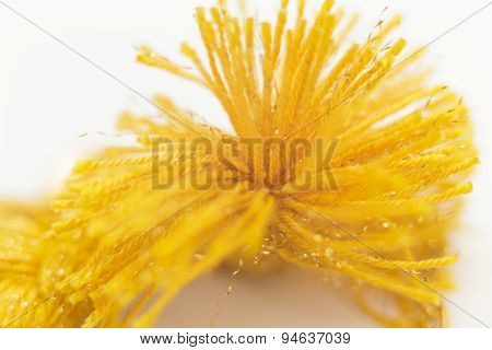 Macro Yellow Yarn Tassel