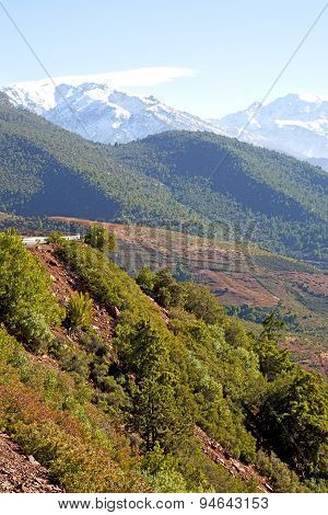 The    Dades Valley   Atlas Moroco Street Snow  Nobody