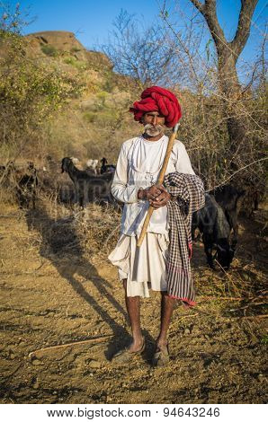 GODWAR REGION, INDIA - 13 FEBRUARY 2015: Rabari tribesman holds traditional axe on field and stands close to herd. Rabari or Rewari are an Indian community in the state of Gujarat.