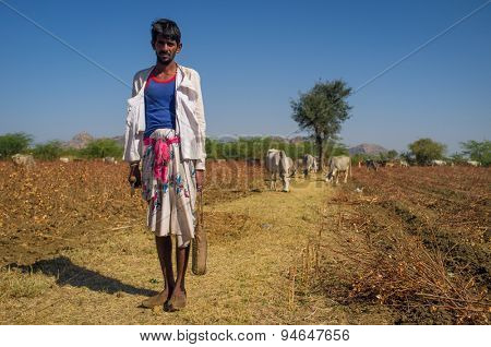 GODWAR REGION, INDIA - 14 FEBRUARY 2015: Young shepherd from Rabari tribe with no turban stands in field with cattle. Holds ax and water bottle. Rabari are an Indian community in the state of Gujarat.