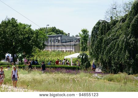 Summer Festival at the Botanical Garden