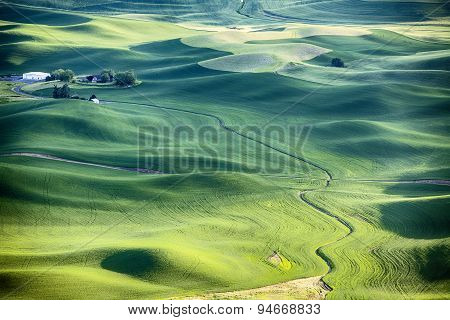Farm Landscape In The Palouse