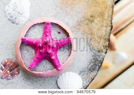 Sea Shells Sand Board