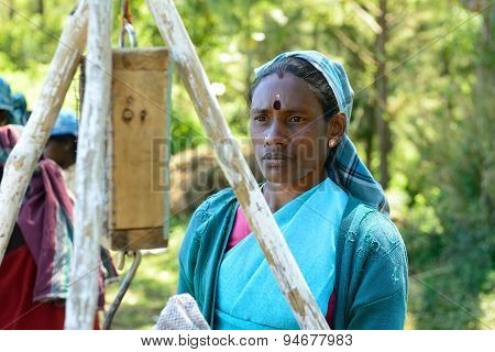 Woman To Collect The Tea Away On Tea Plantations
