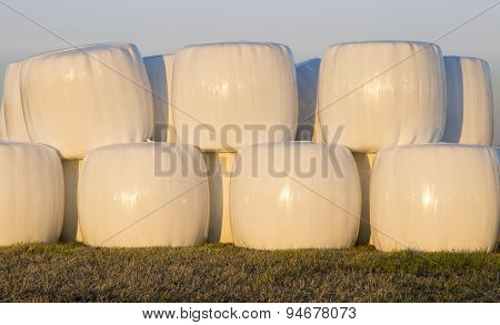 Wrapped Silage Bales