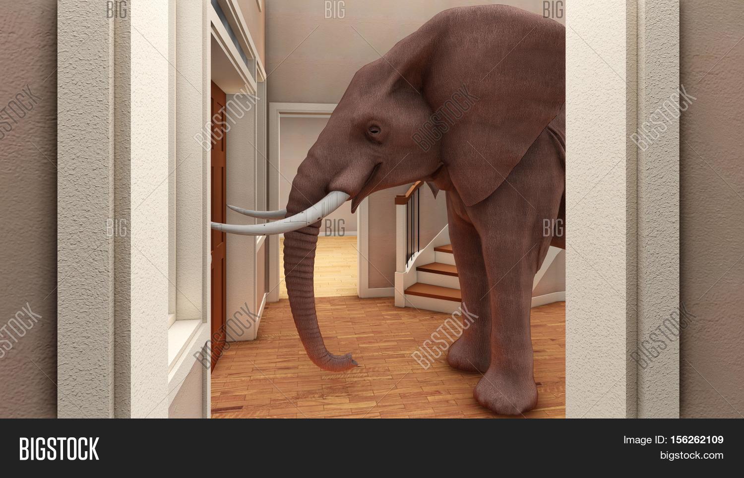 Elephant Living Room Image & Photo (Free Trial) Bigstock