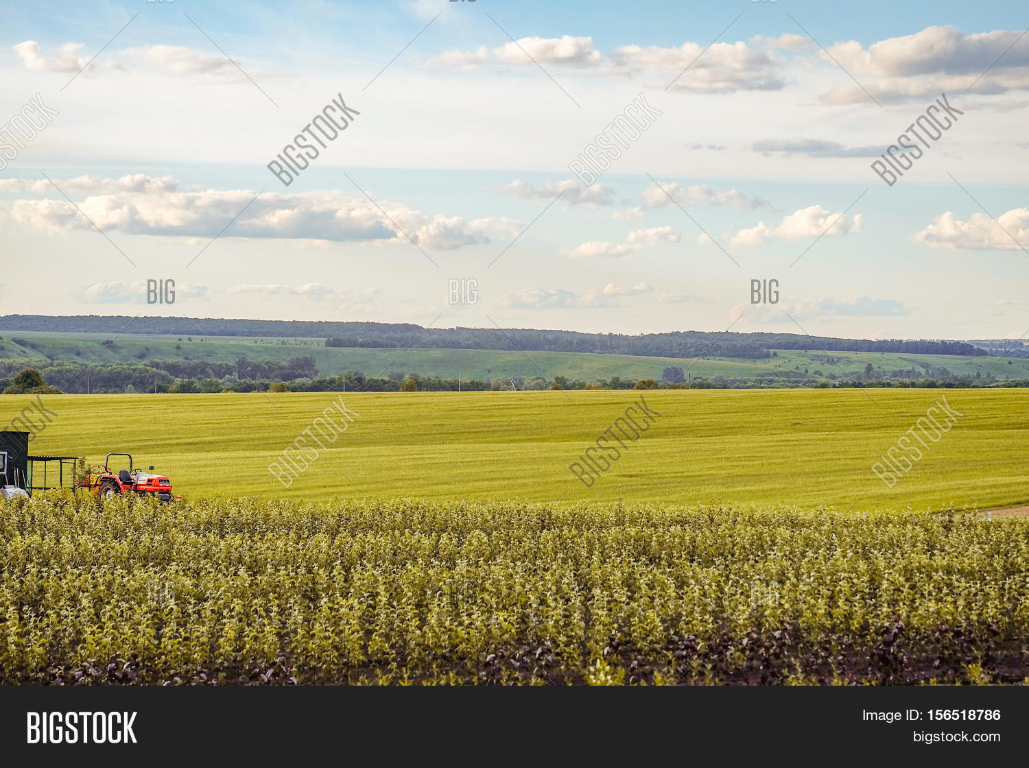Small Scale Farming Image & Photo (Free Trial) Bigstock