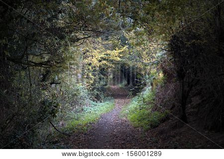 Empty countryside walking track. Baker Path Tarvin Cheshire England
