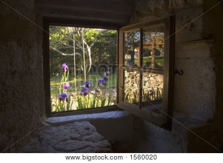 Iris e cottage finestra