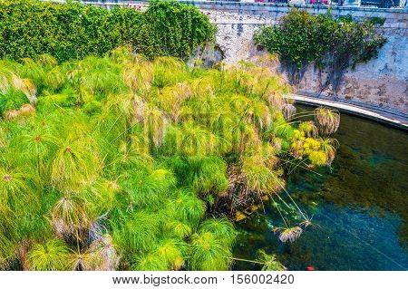 Coast of Ortigia island at city of Syracuse, Sicily, Italy. Beautiful travel photo of Sicily.
