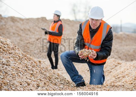 Paper mill factory workers standing on piles of little wood chips