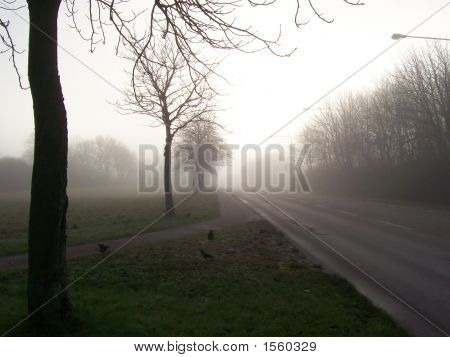 Ködös út