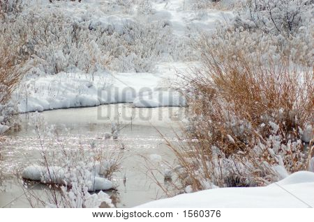 Black River New Mexico