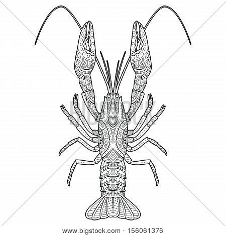 Vector hand drawn zentangle crawfish drawing for coloring book on isolated