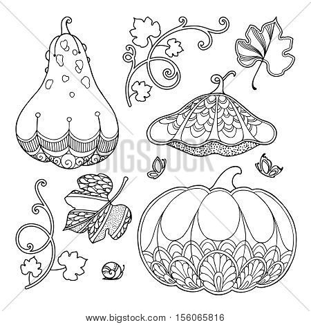 Nature elements vector set in doodle style. Floral, ornate, decorative, tribal, garden design elements. Black and white illustration. Pumpkins, leaves. Zentangle coloring book page