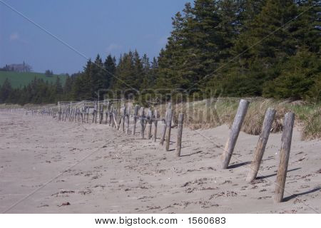 Risser'S Beach