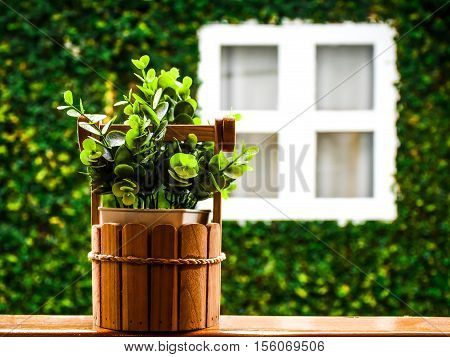 Green plant in the pot on the window opposite the white window.