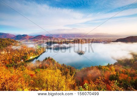 Aerial view of the alpine lake Bled from Osojnica. Great and gorgeous morning scene. Popular tourist attraction. Location famous place Julian Alps, Slovenia, Europe. Artistic picture. Beauty world.