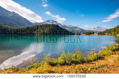 Great view of the azure pond Champfer in alpine valley. Popular tourist attraction. Picturesque and gorgeous scene. Location Swiss alps, Silvaplana village, district of Maloja, Europe. Beauty world.