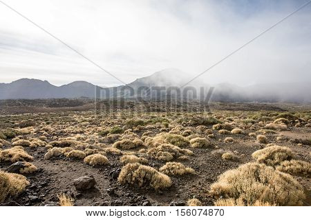 The Ucanca valley in Tenerife, Canary islands, Spain