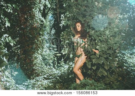 sensual woman in underwear leaf posing in the wood outdoors